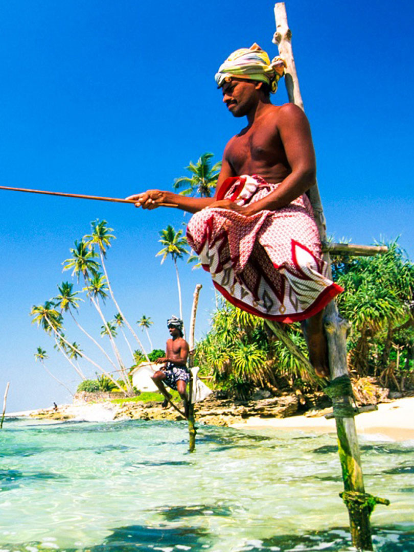 Sri Lankan Stilt Fisherman